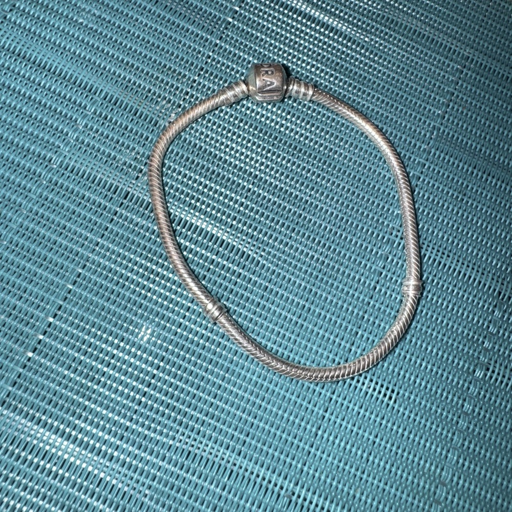 Pandora Charm Bracelet